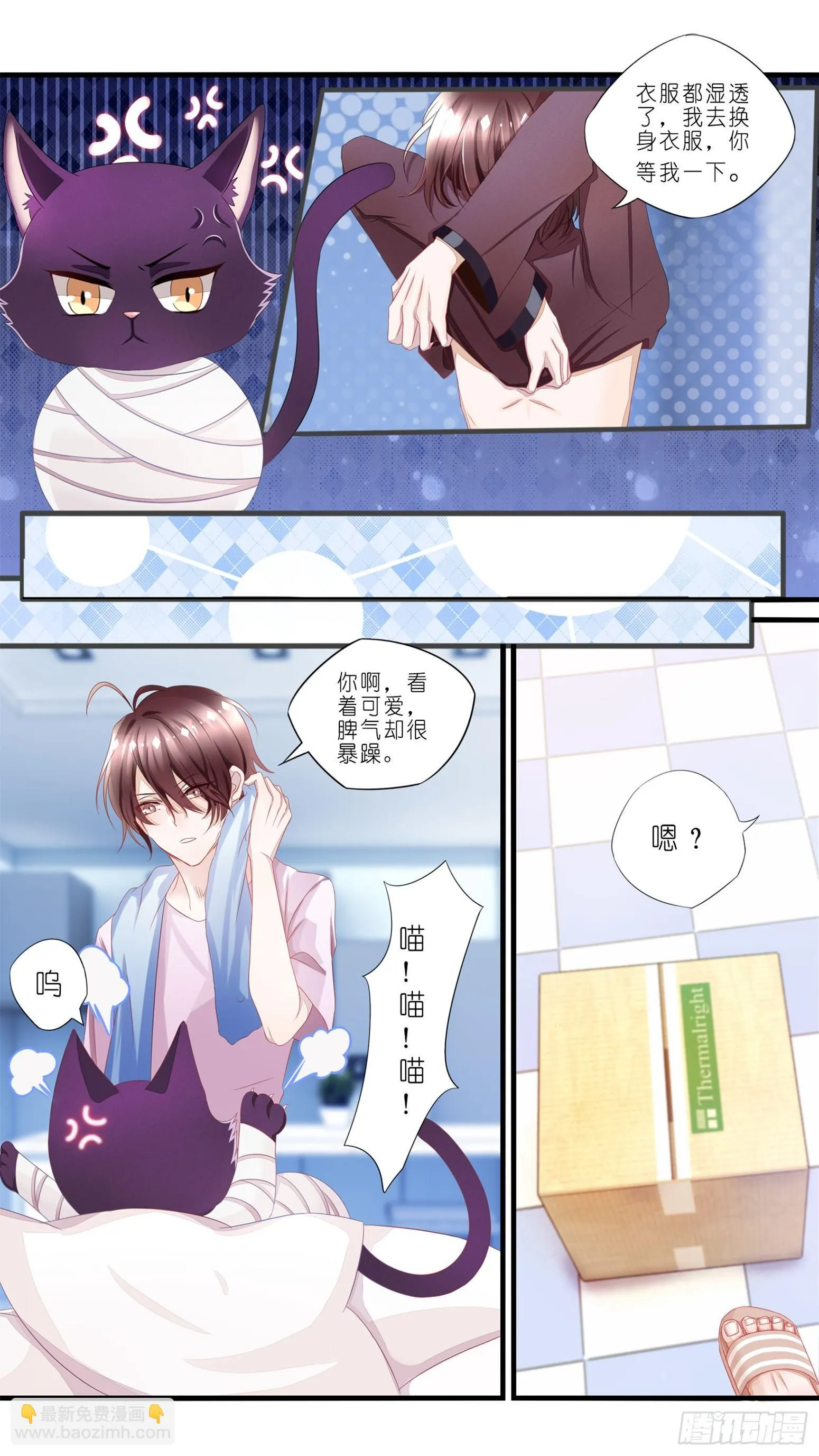 01 天降猫咪 第27页
