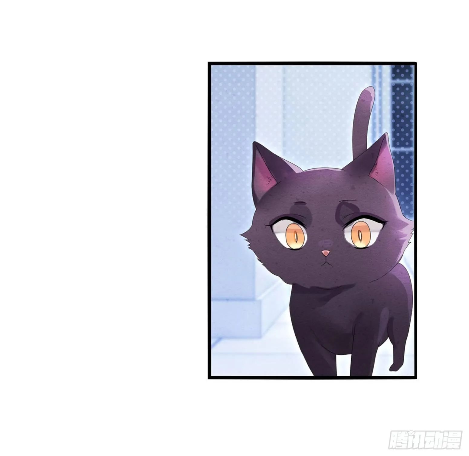 03 秃了也强了 第22页