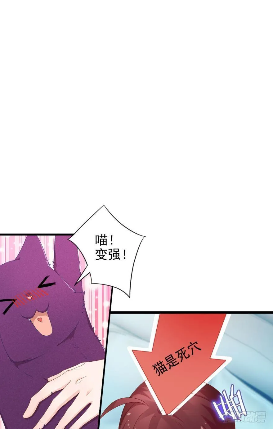 07 猫薄荷吸嗨了 第35页