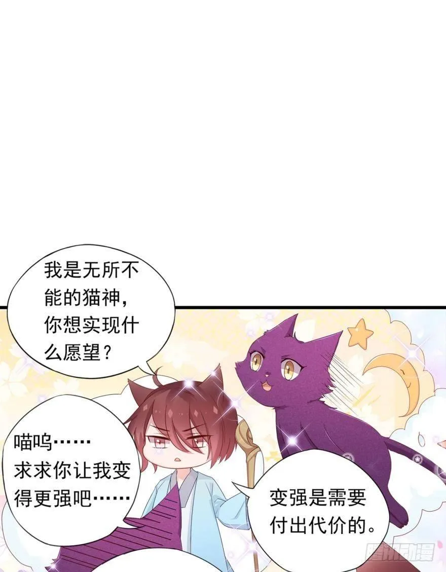 07 猫薄荷吸嗨了 第38页
