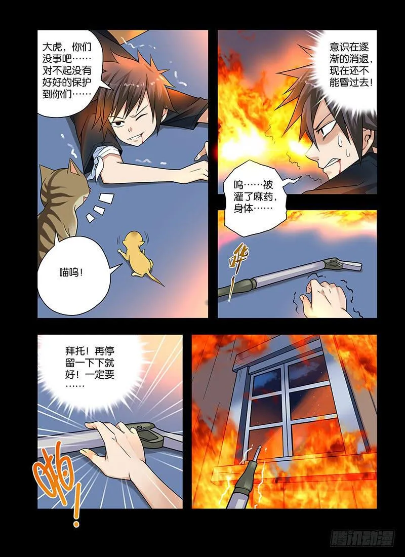 26,记忆——结束-上 第11页