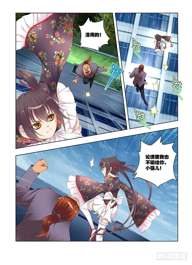 177,激斗，猫与狮-中 第2页