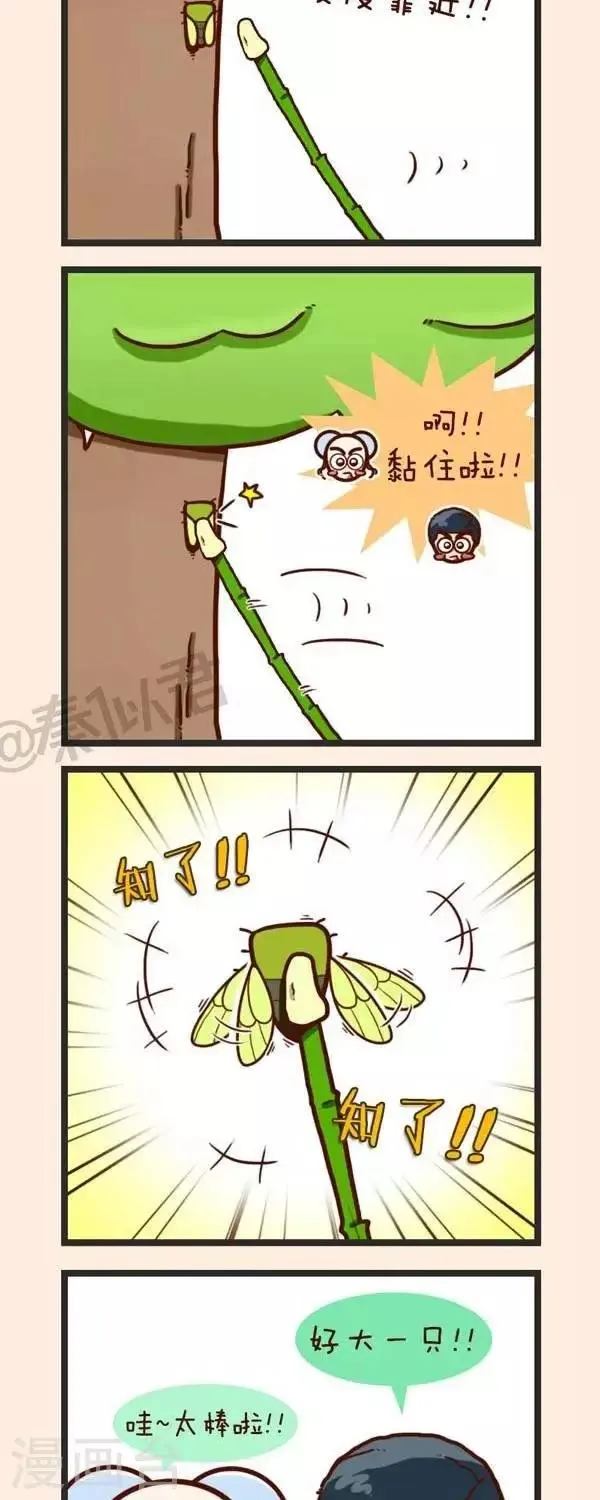 第37话 捉知了 第7页