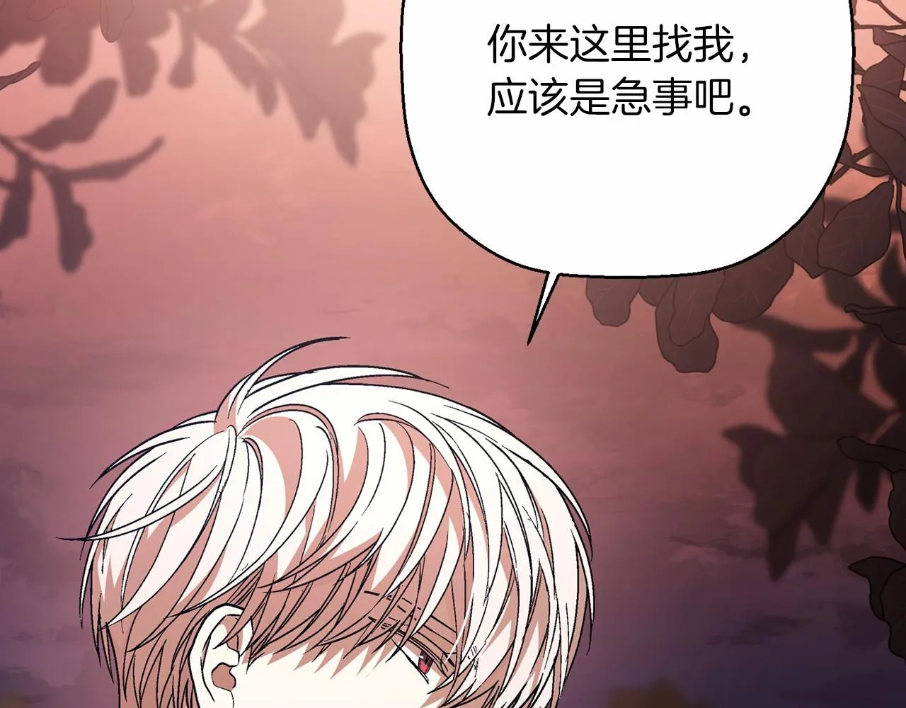 第40话 “神”的束缚 第265页