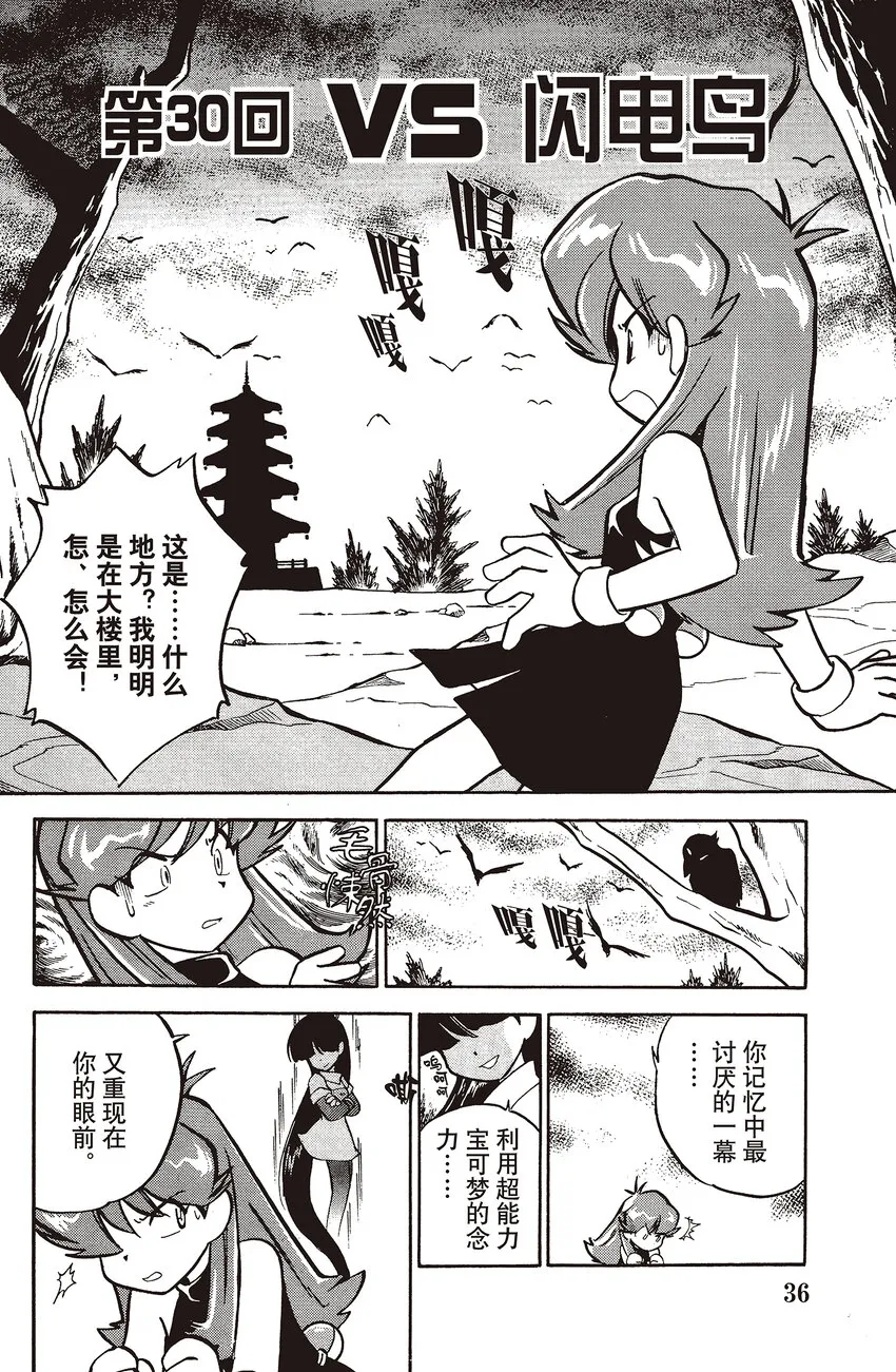 30 第30回 VS 闪电鸟 第2页