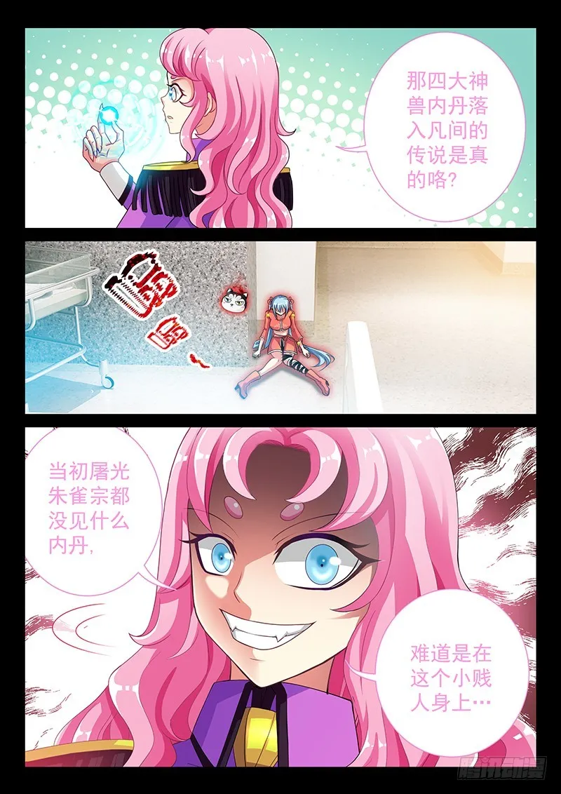 037-5白虎内丹 第6页