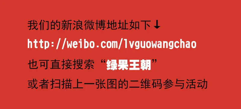 032-2还不能倒下… 第12页