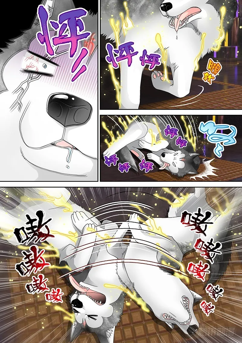 016-2哔了狗了！ 第6页