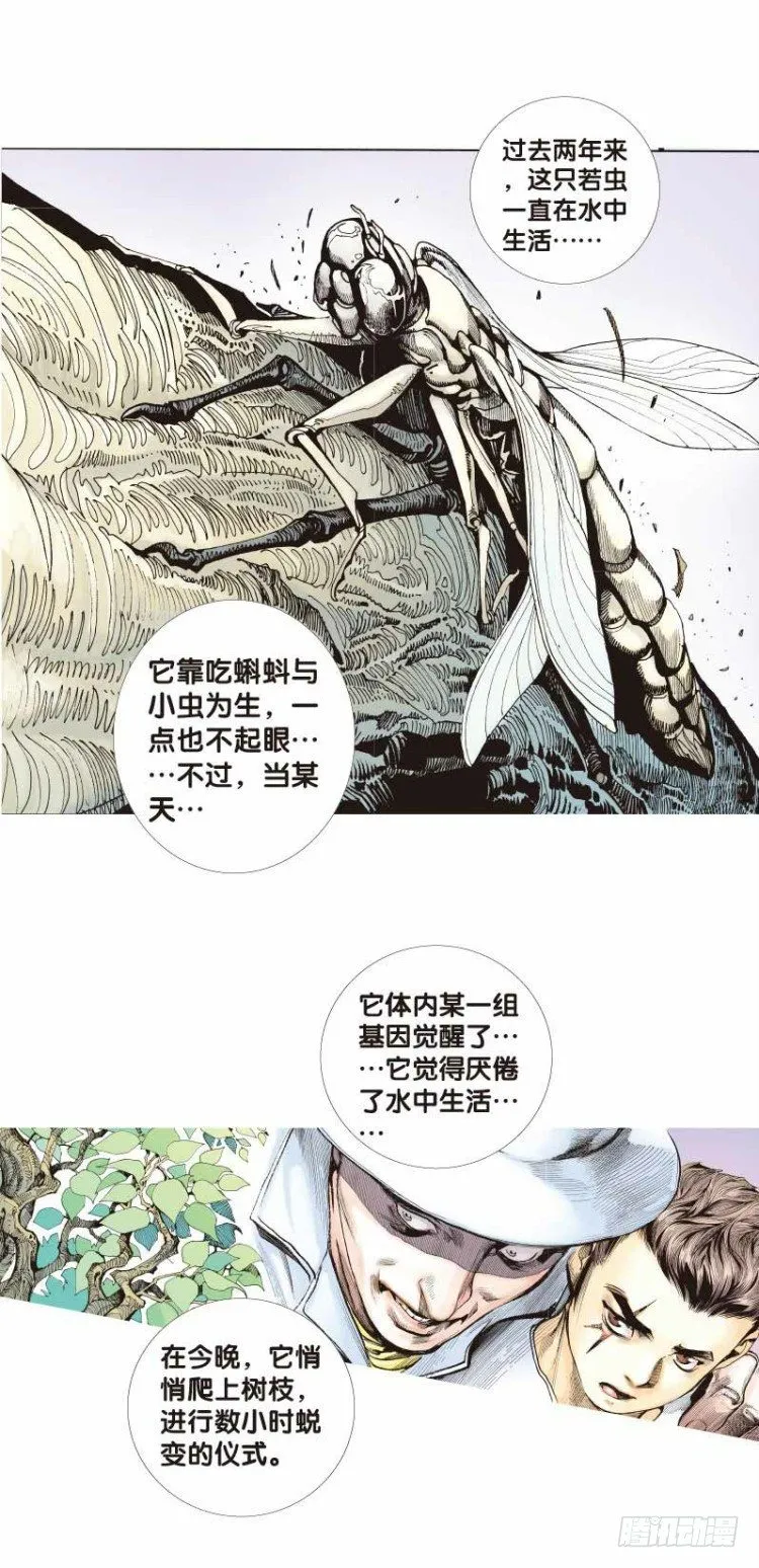 第二十六回：阿信的梦（三） 第11页