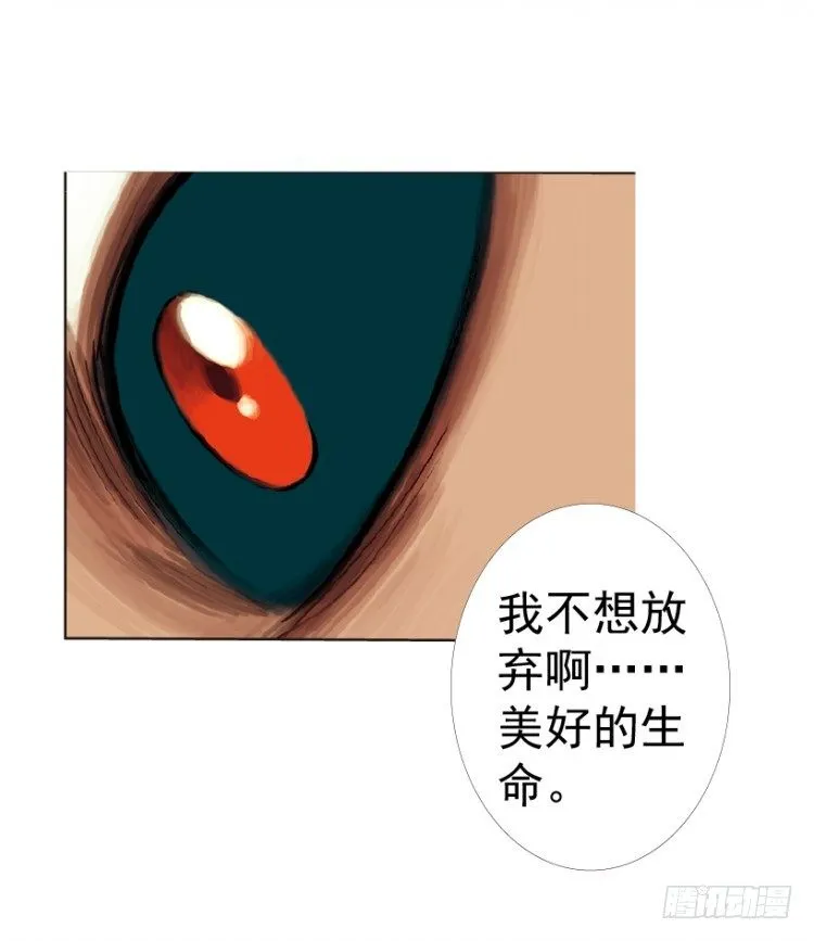 第312话：终结者（上） 第24页