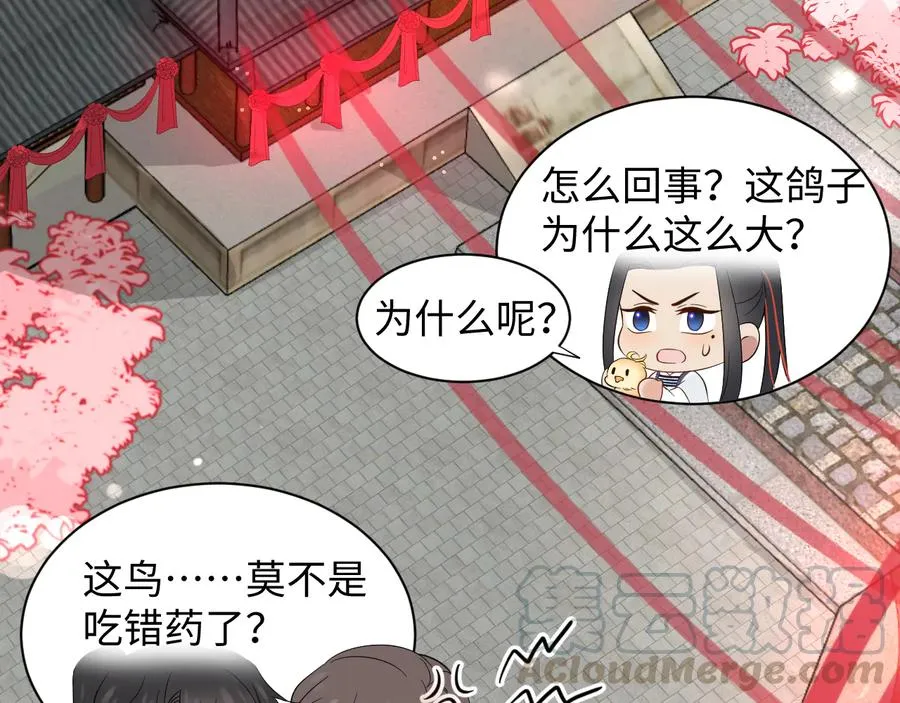 番外5 花烛夜 第81页