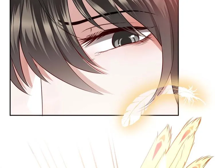 第4话 凤凰翼 第12页