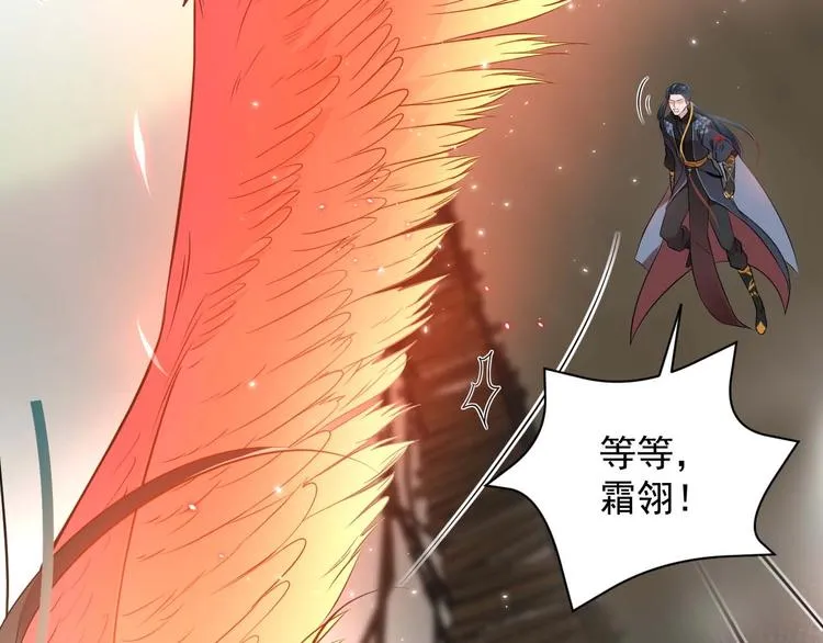 第4话 凤凰翼 第14页