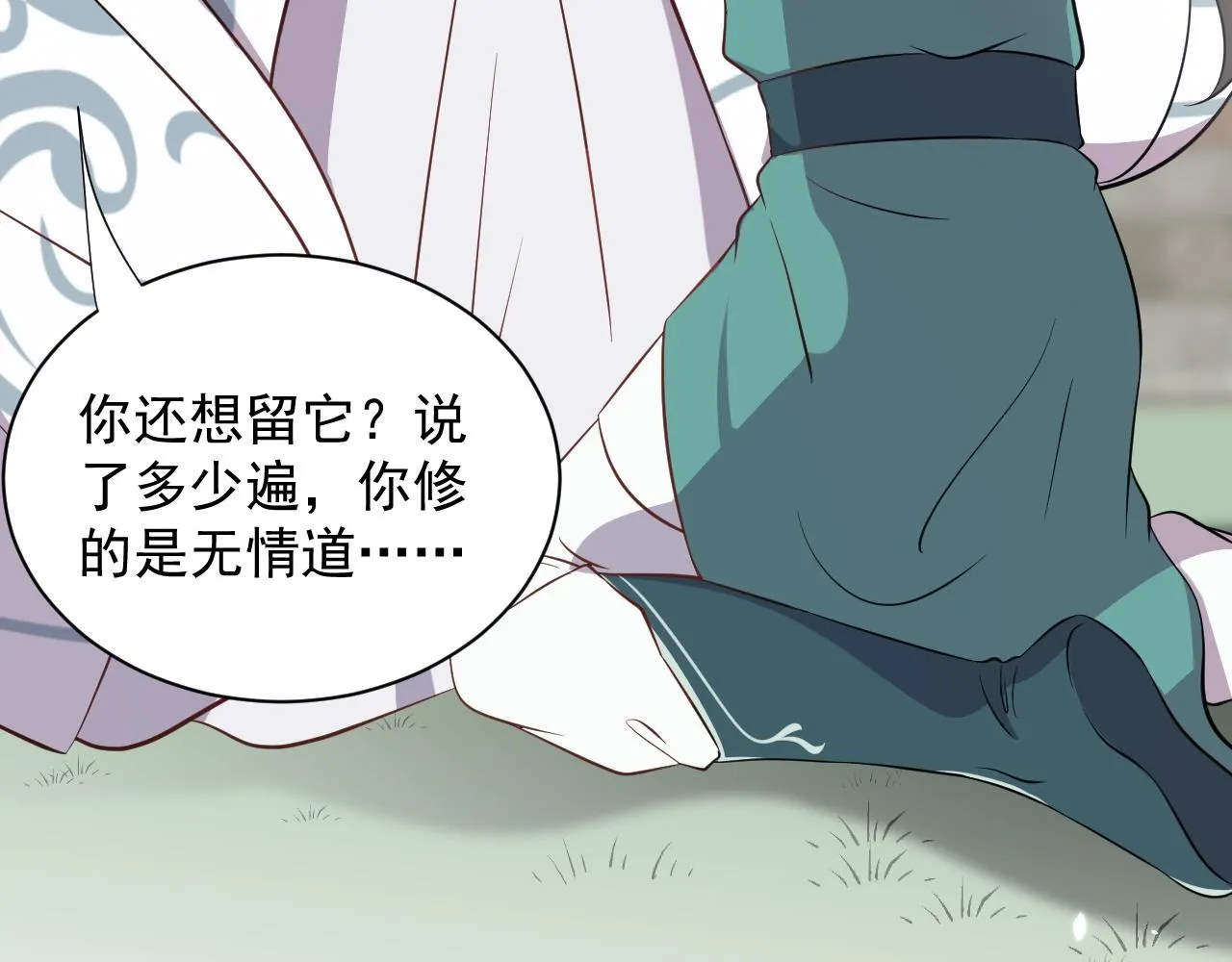 第14话 捡到一只毛球球 第26页