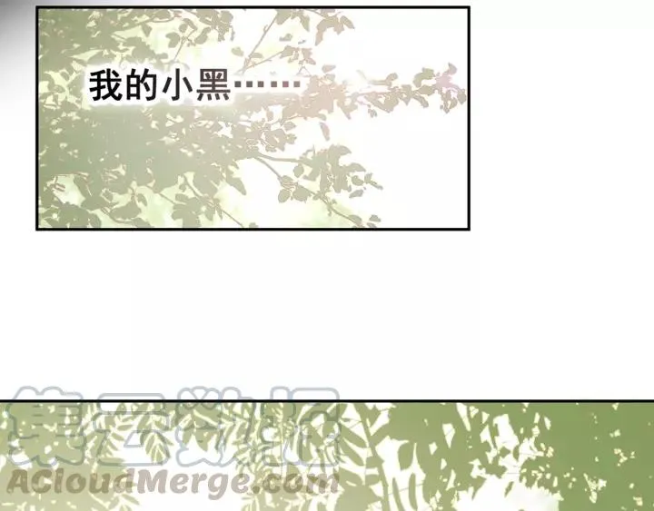 第17话 过往的记忆 第37页