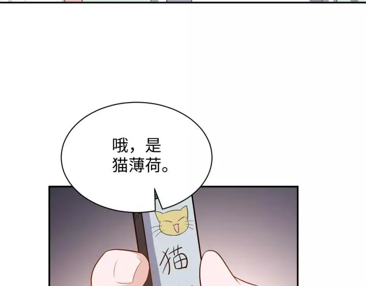 第45话 北逍肥来啦！ 第56页