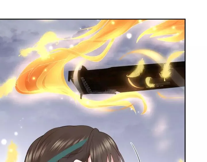 第47话 凤凰之力共鸣 第92页