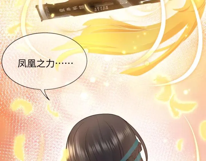 第47话 凤凰之力共鸣 第96页