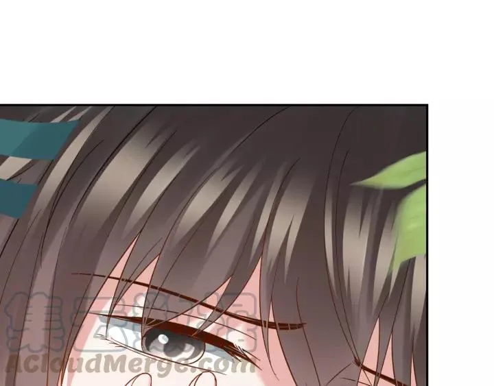 第47话 凤凰之力共鸣 第109页