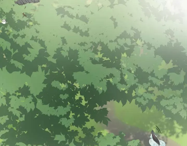 第48话 凤凰的逆天能力 第15页