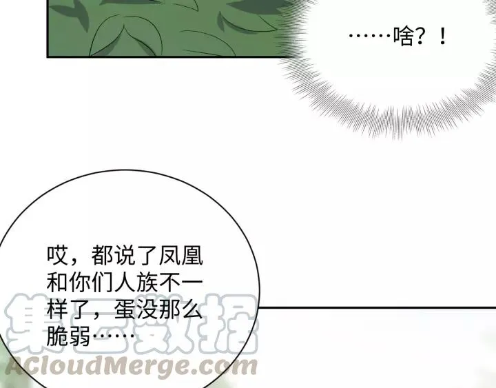 第48话 凤凰的逆天能力 第37页