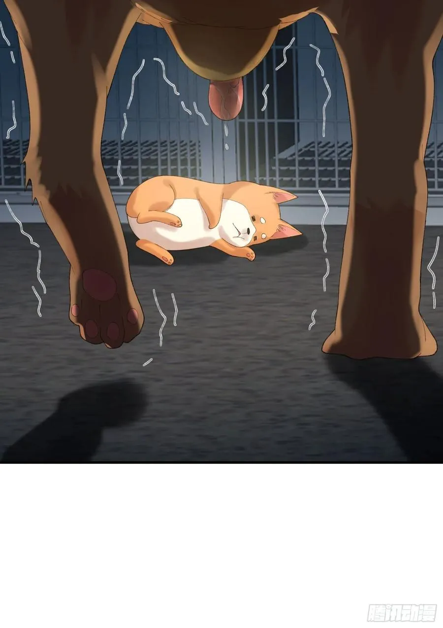 黑猫小分队 第8页