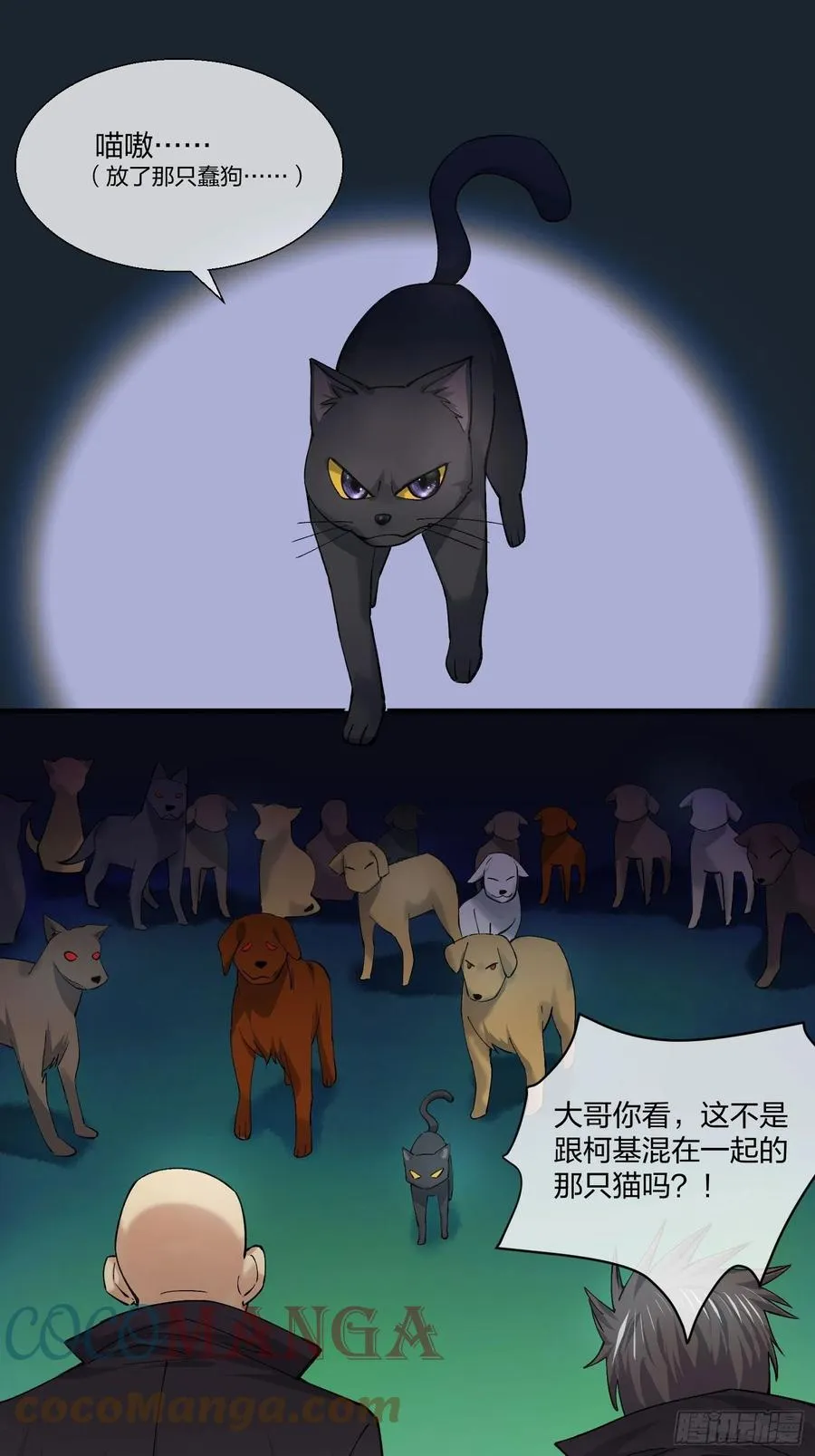 黑猫小分队 第17页