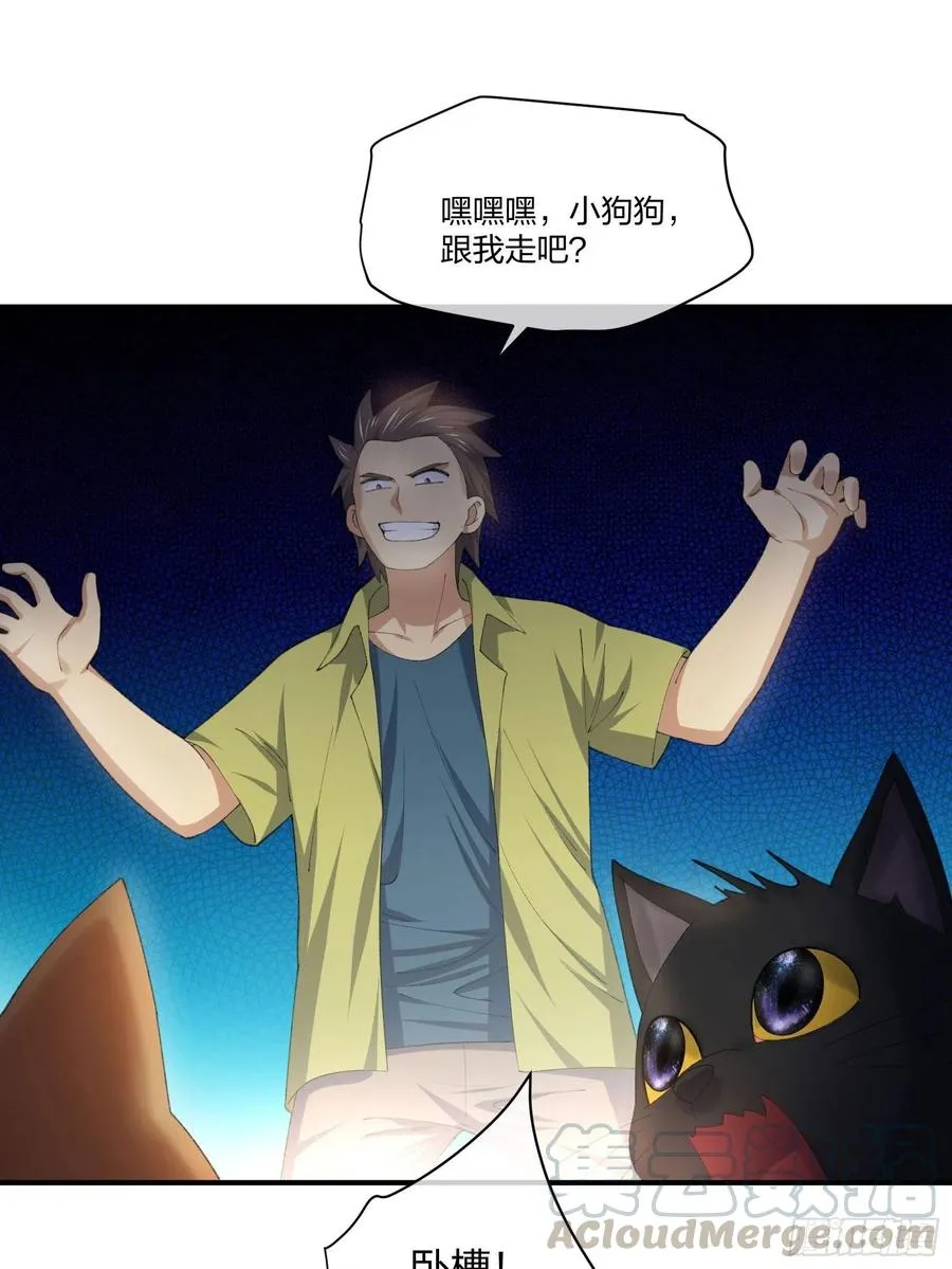 偷狗贼 第3页
