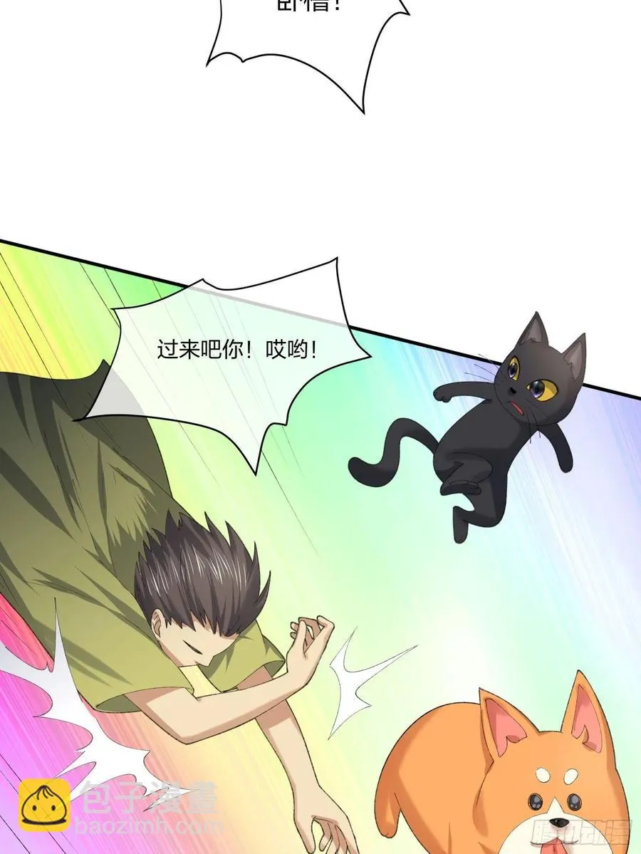 偷狗贼 第4页