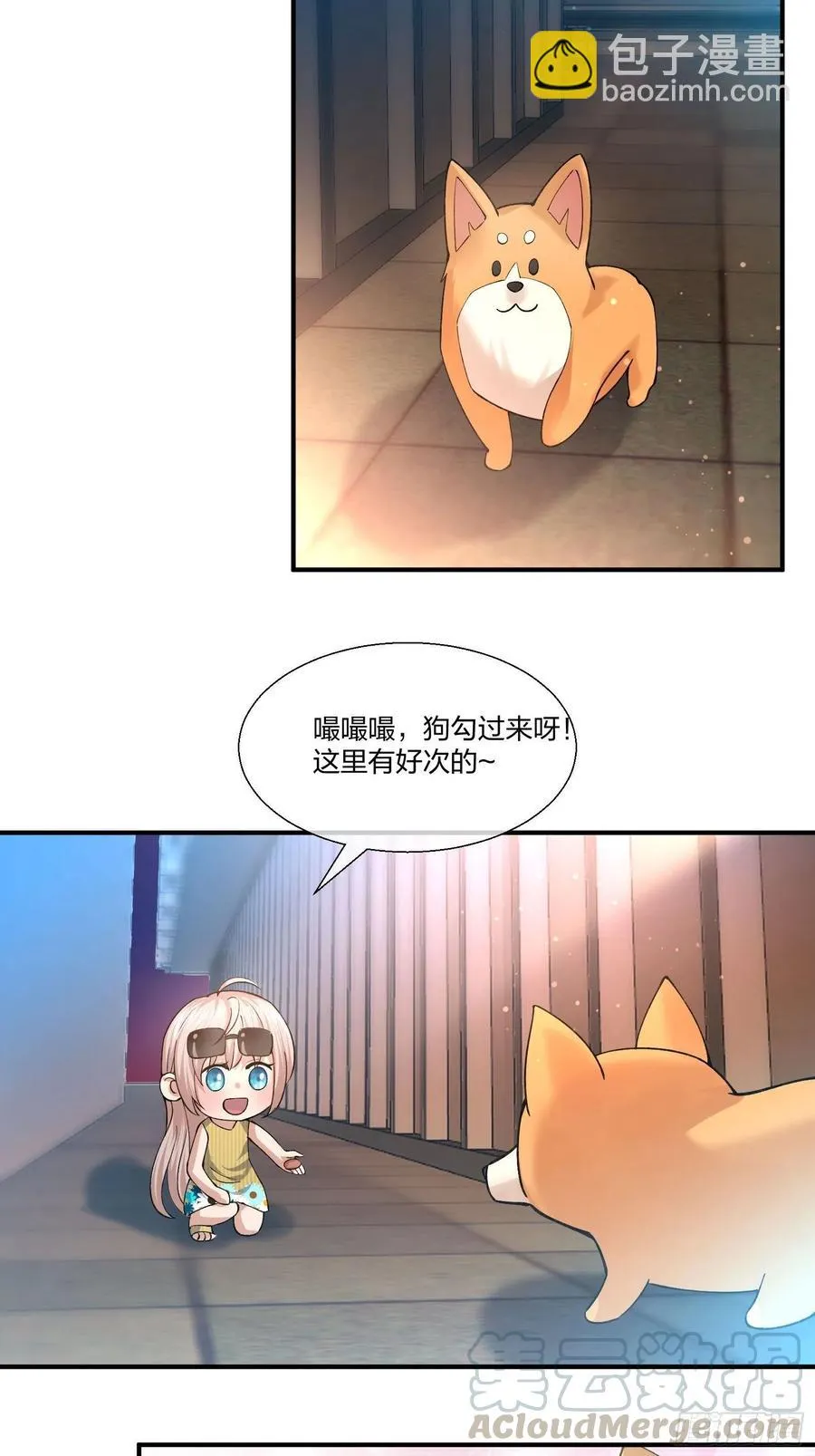 不同寻常的动物 第17页