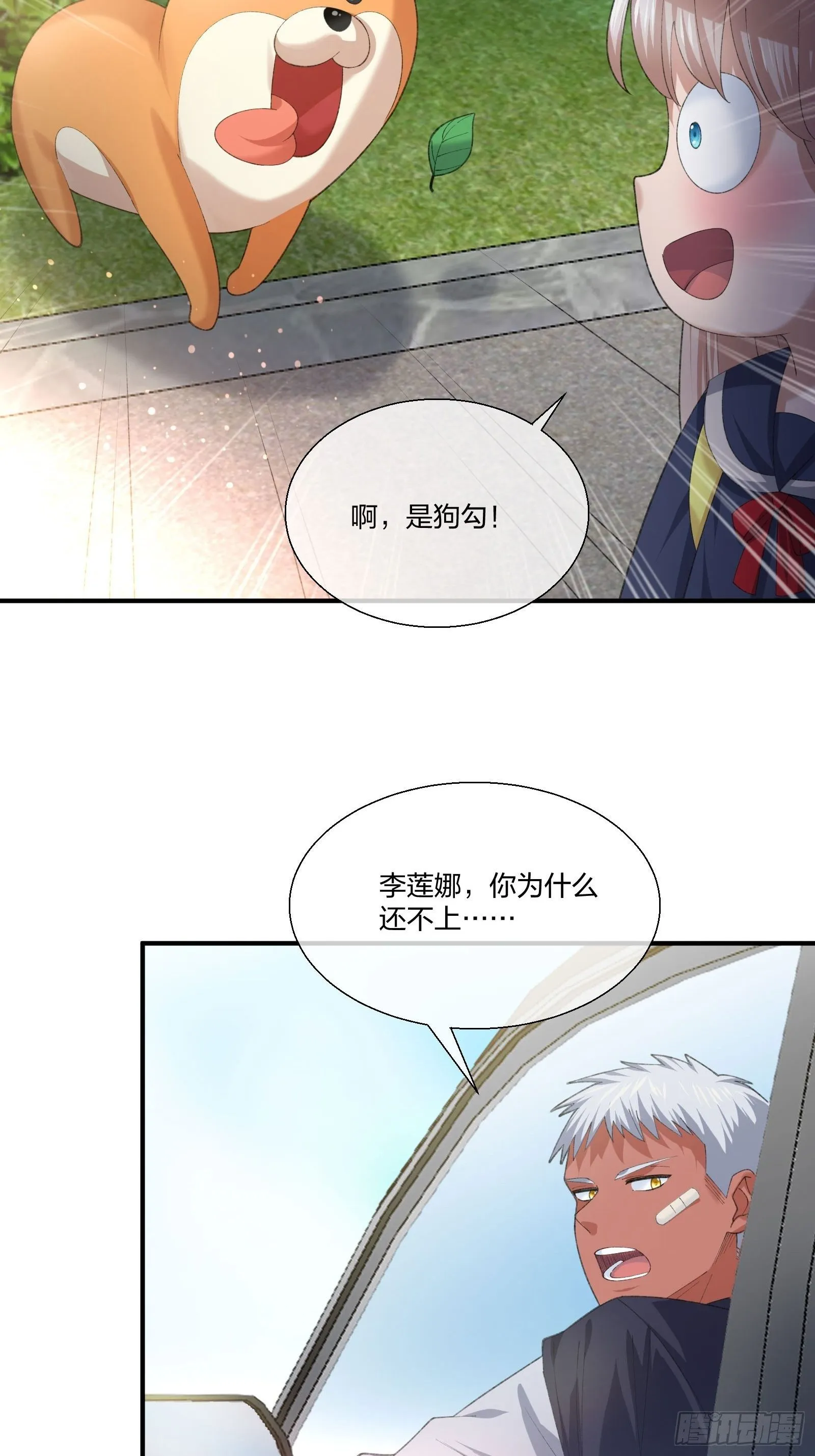 来路不明的野狗 第24页