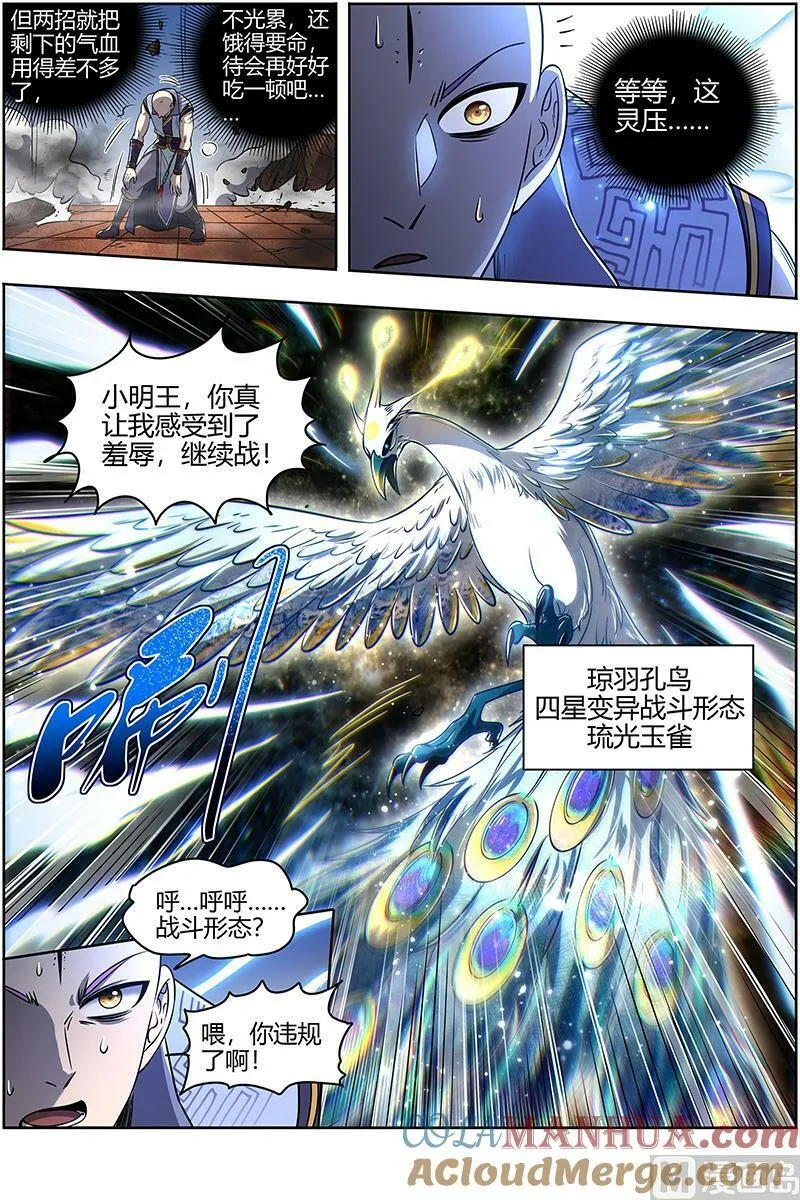 029-34 29大明王篇：休想用玄瞳 第12页