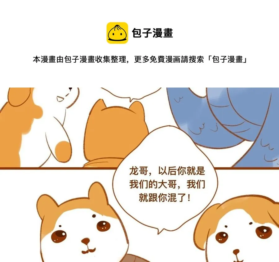 第347话 狗小弟 第33页