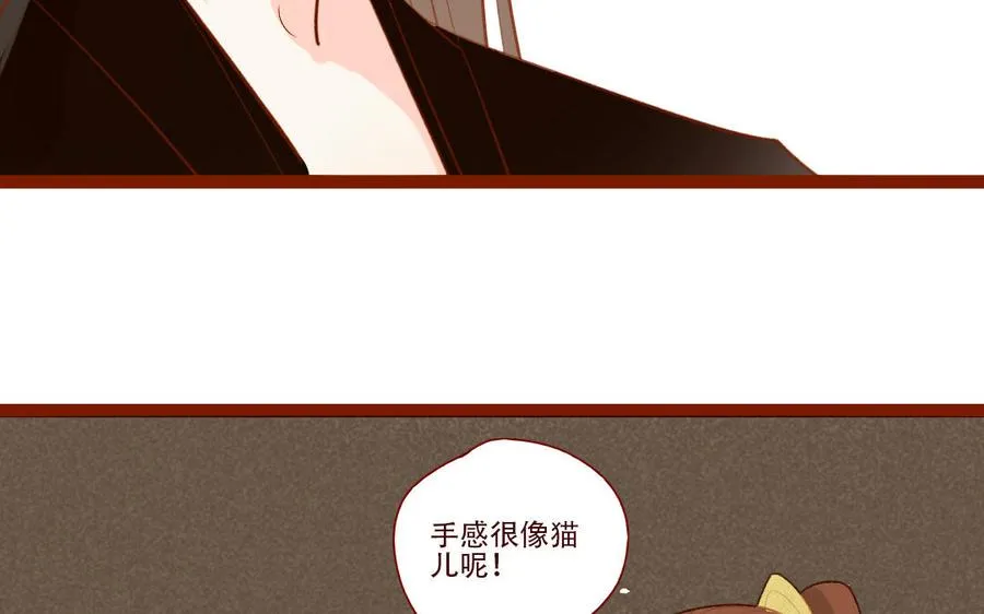 第258话 大婚之喜 第19页