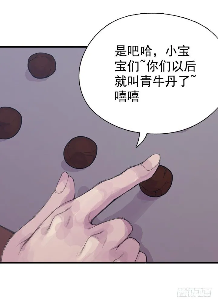 还丹 第31页