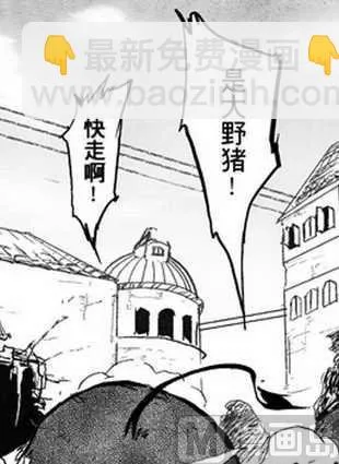 11 第8页