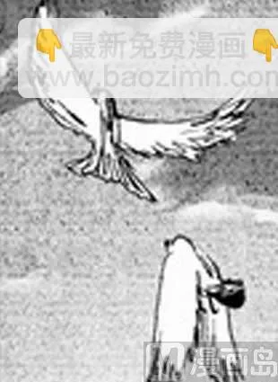 8 第7页