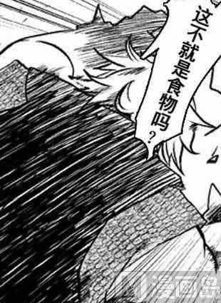 4 第5页