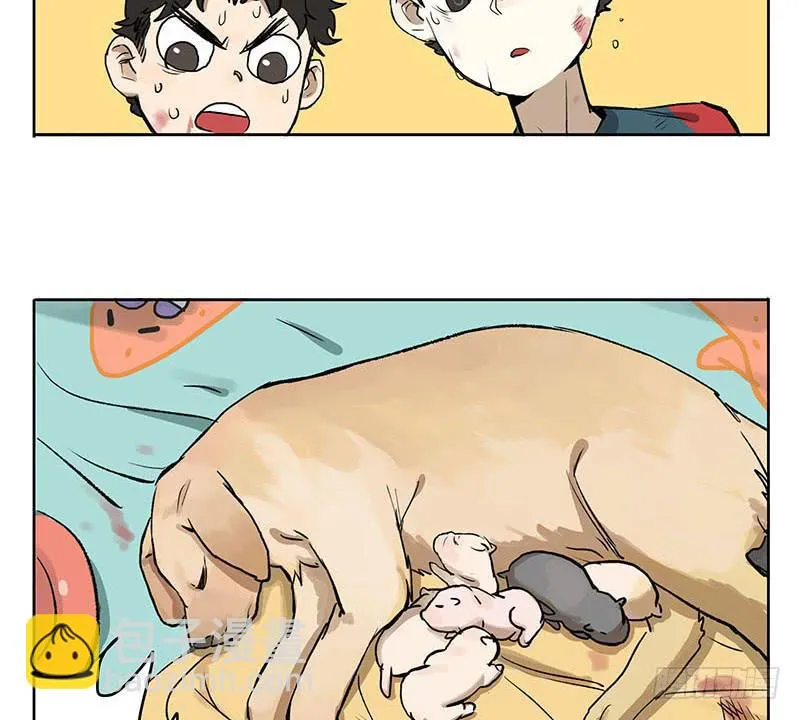 35 回家 第22页