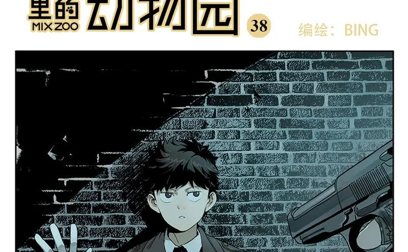 37 商机 第2页