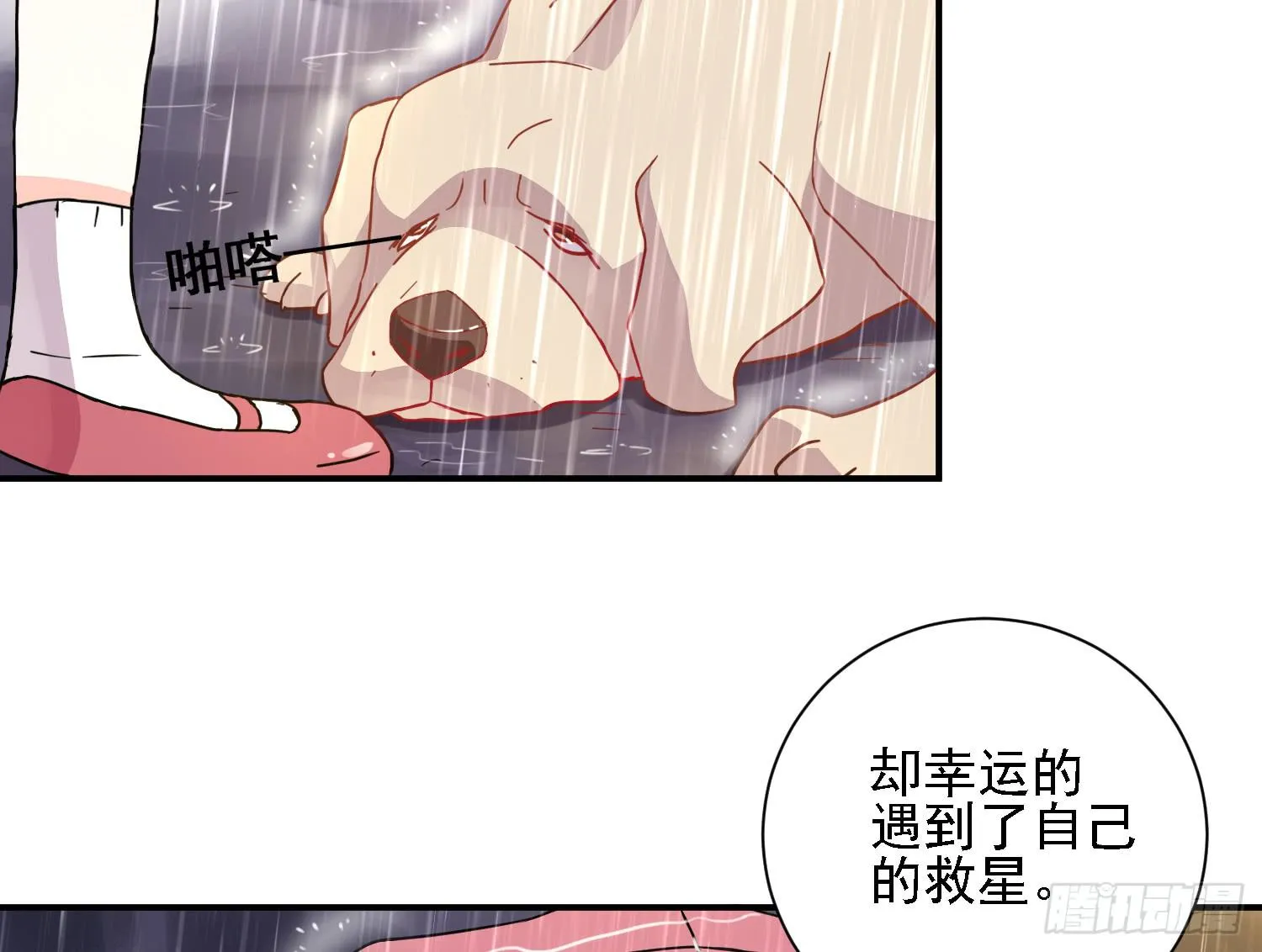 骑在狗背上的男孩 第45页