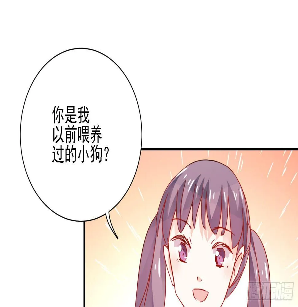 骑在狗背上的男孩 第109页