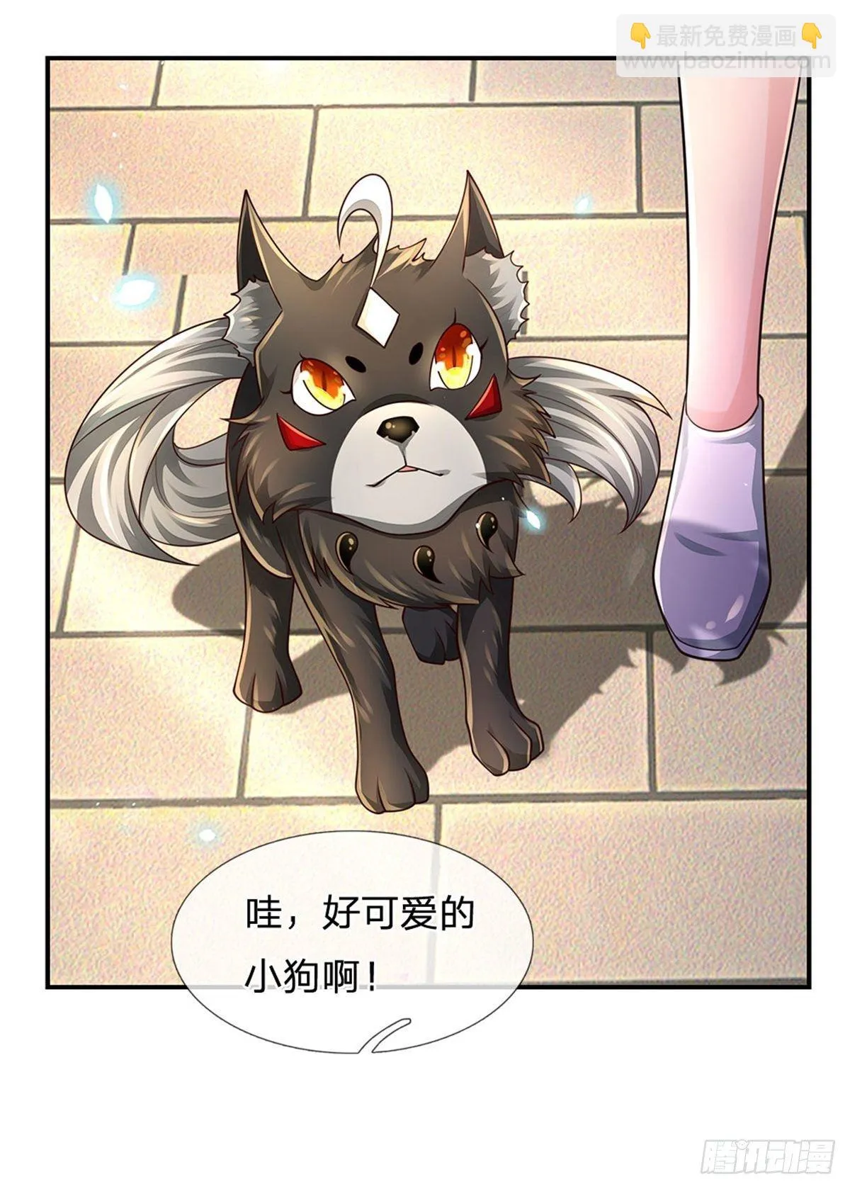 第107话 狗狗这么可爱 第21页