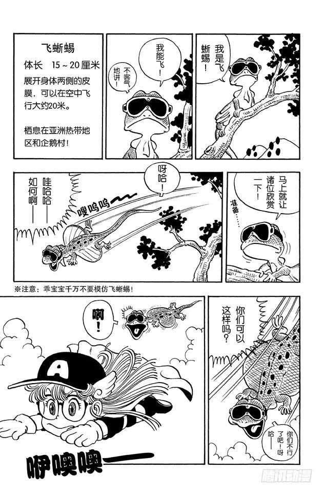 第24话 草莓短裤大作战PART1 第2页