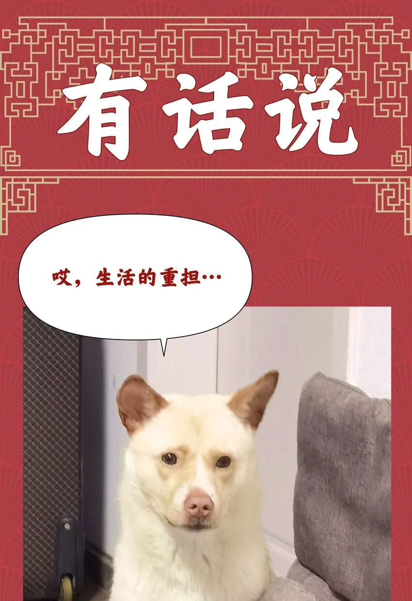 021 不以出身论英雄？ 第41页