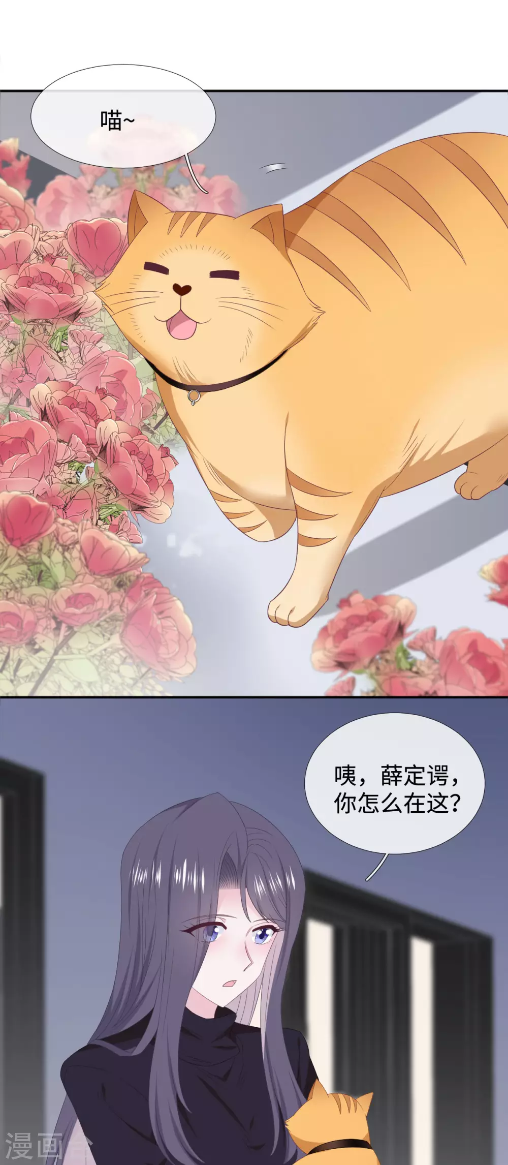 最终话 大结局 第19页