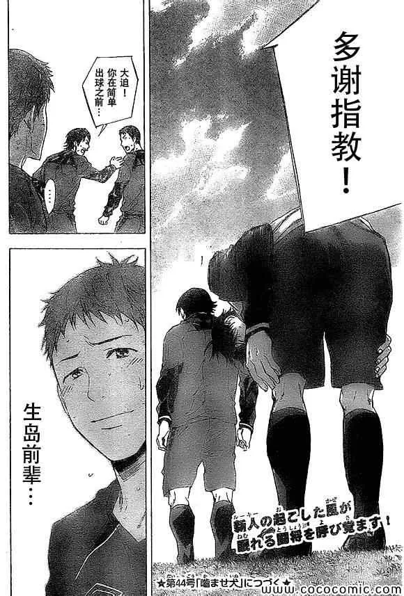 第333话 第20页