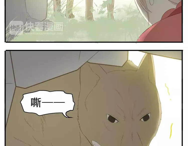 第41话 逃婚 第12页
