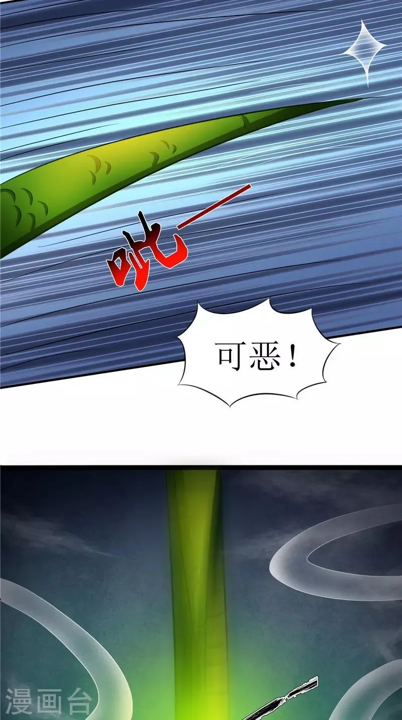 第43话 古墓巨蟒 第29页