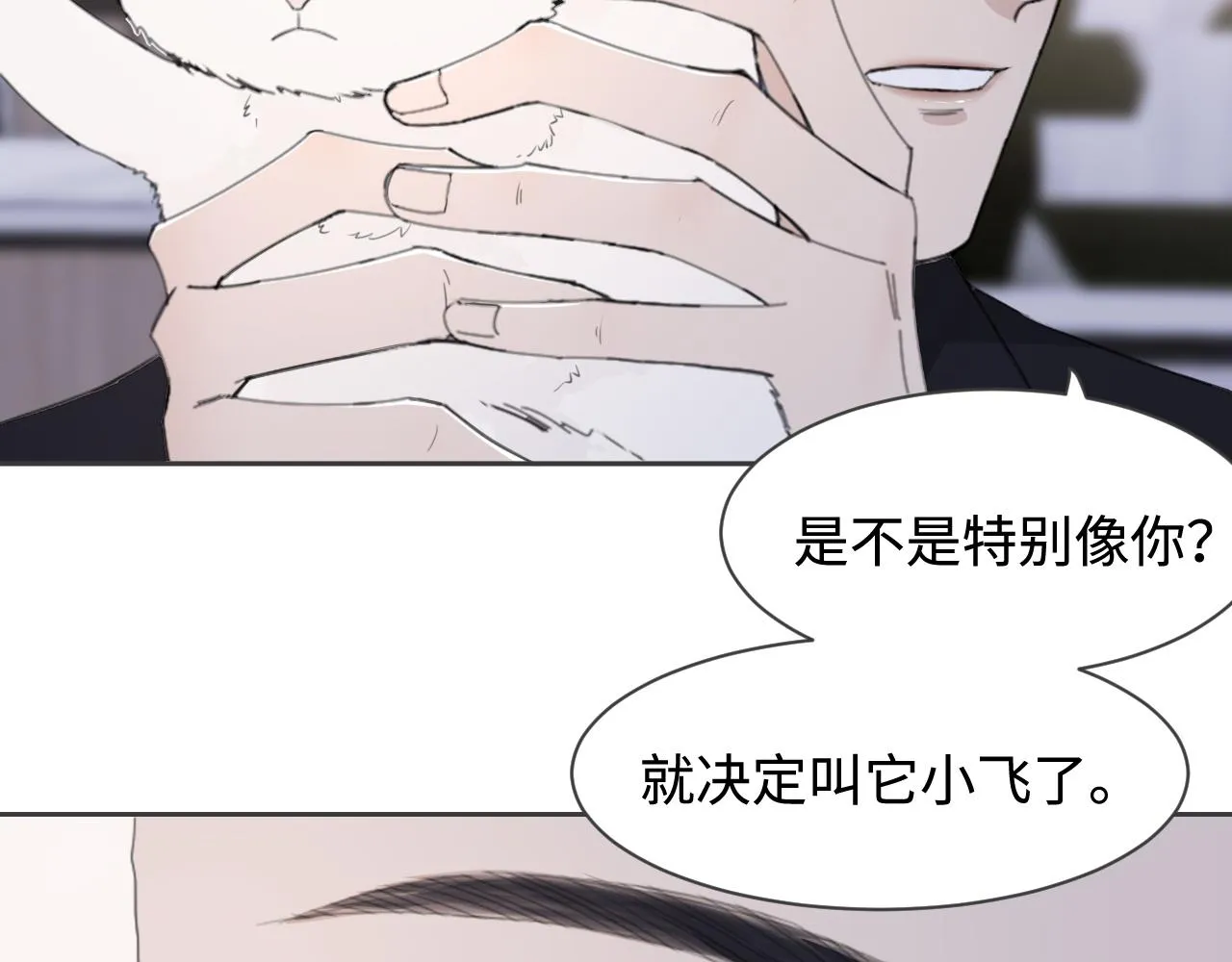 第41话 我们有儿子了 第47页